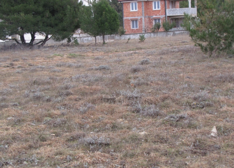 Poljoprivredno zemljište, Vir, 1030 m2 (ID300) Bova Real Estate