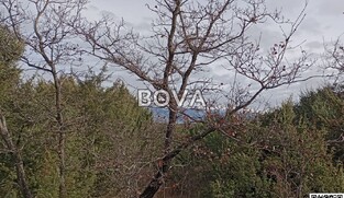 Poljoprivredno zemljište 10568 m2 – Poljica *Uz prometnicu* (ID-2537/E)