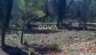 Građevinsko zemljište 600 m2 – Ždrelac *POGLED MORE* (ID-2559/E)