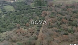 Poljoprivredno zemljište 4839 m2 – Briševo *Oranica* (ID-2562/E)