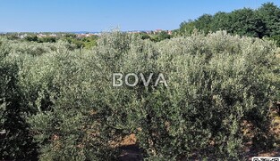 Kuća 280m2 &ndash; Privlaka *POGLED MORE* (ID-2578/A)