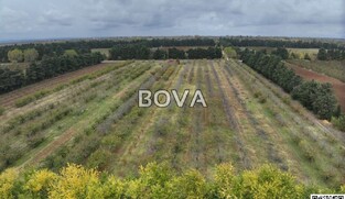 Poljoprivredno zemlji&scaron;te 20.000 m2 &ndash; Smilčić *Nasad Tre&scaron;anja* (ID-2583/A)
