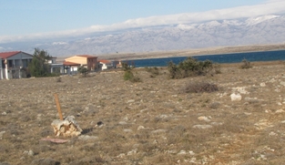 Poljoprivredno zemljište, Vir, 10100 m2  (ID-334)